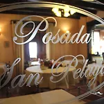 Pensjonat San Pelayo Camaleño