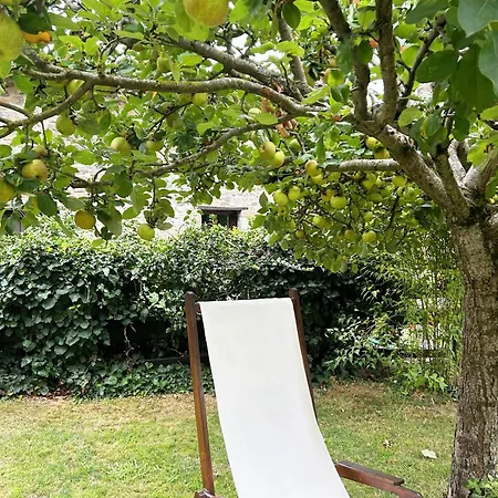 Penzion San Pelayo Camaleño