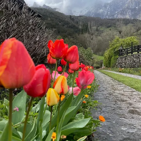 圣佩拉约旅馆 4* 卡马勒洛