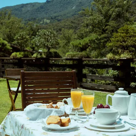 圣佩拉约旅馆 4* 卡马勒洛