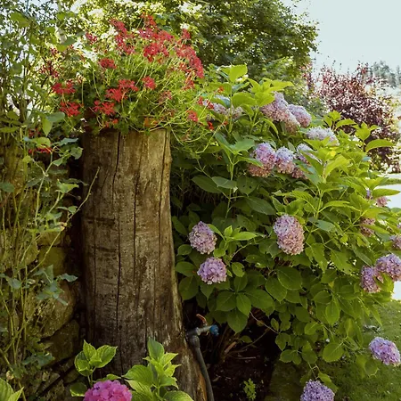 San Pelayo Penzion 4*