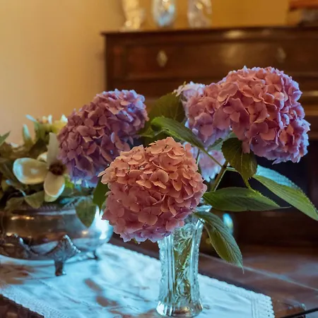 圣佩拉约旅馆 4* 卡马勒洛