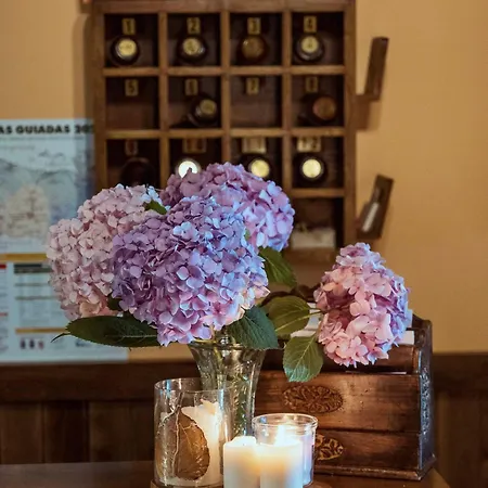 Penzion San Pelayo Camaleño