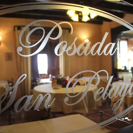 Pensjonat San Pelayo Camaleño