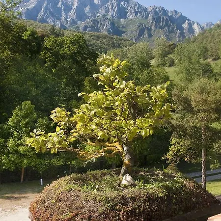 Pensión San Pelayo 3*