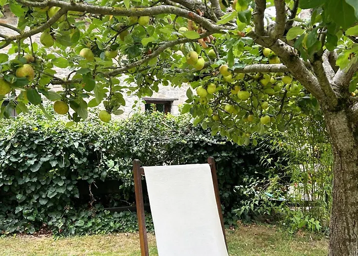 Pensjonat San Pelayo Camaleño