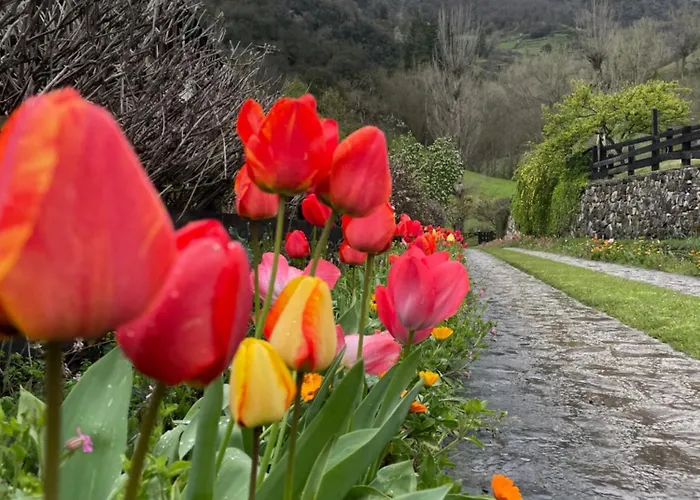 San Pelayo 4* Camaleño