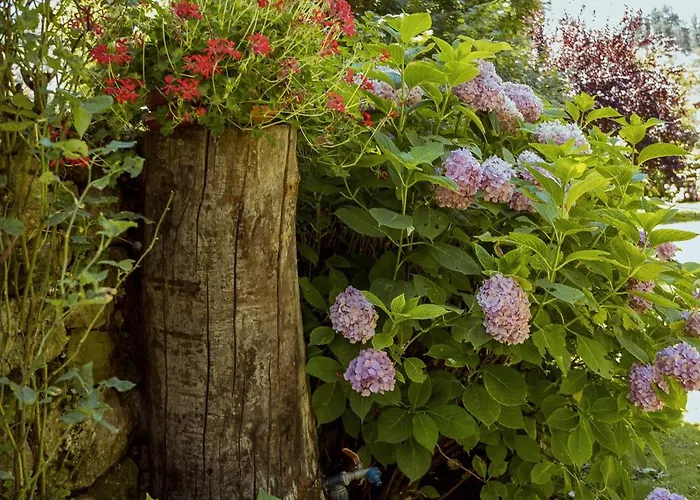 San Pelayo Pensjonat 4*