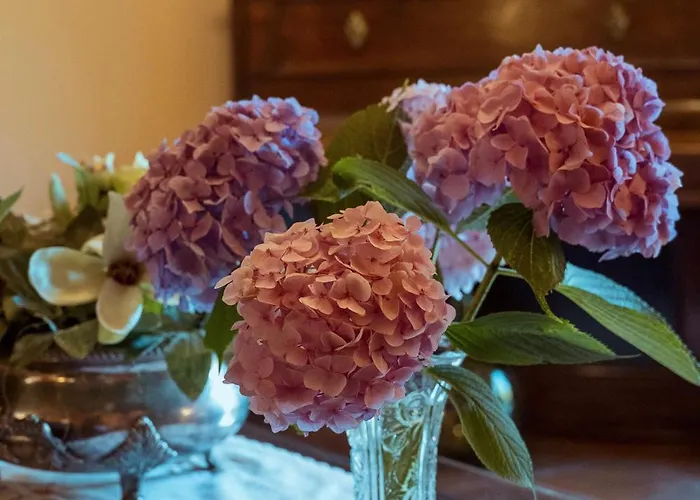 San Pelayo 4* Camaleño