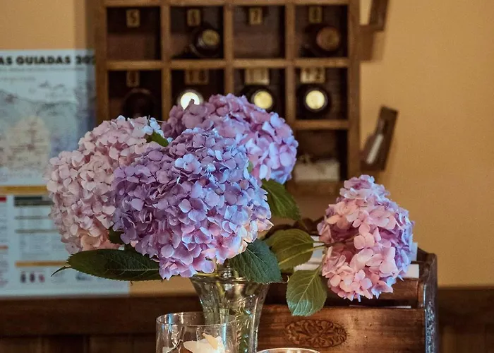 Pensjonat San Pelayo Camaleño