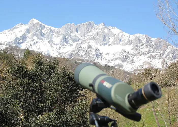 San Pelayo 4* Camaleño