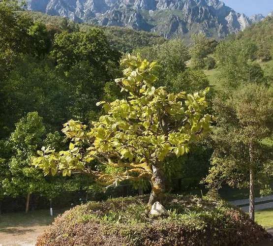 Pensjonat San Pelayo 4*